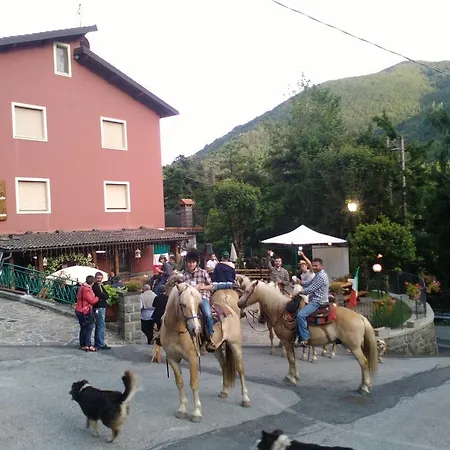 Gasthof Affittacamere Ciuti *